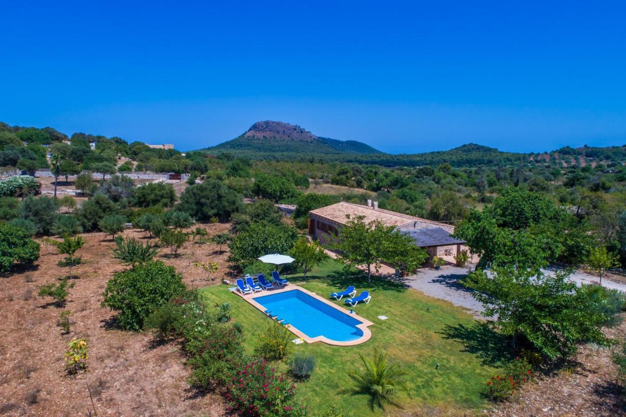 Mamici Capdepera (Mallorca)